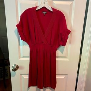 Express Knit Dress